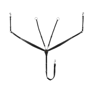 Martingales et Poitrails