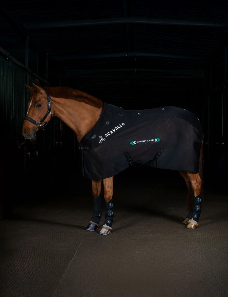 Acavallo Magnet Care