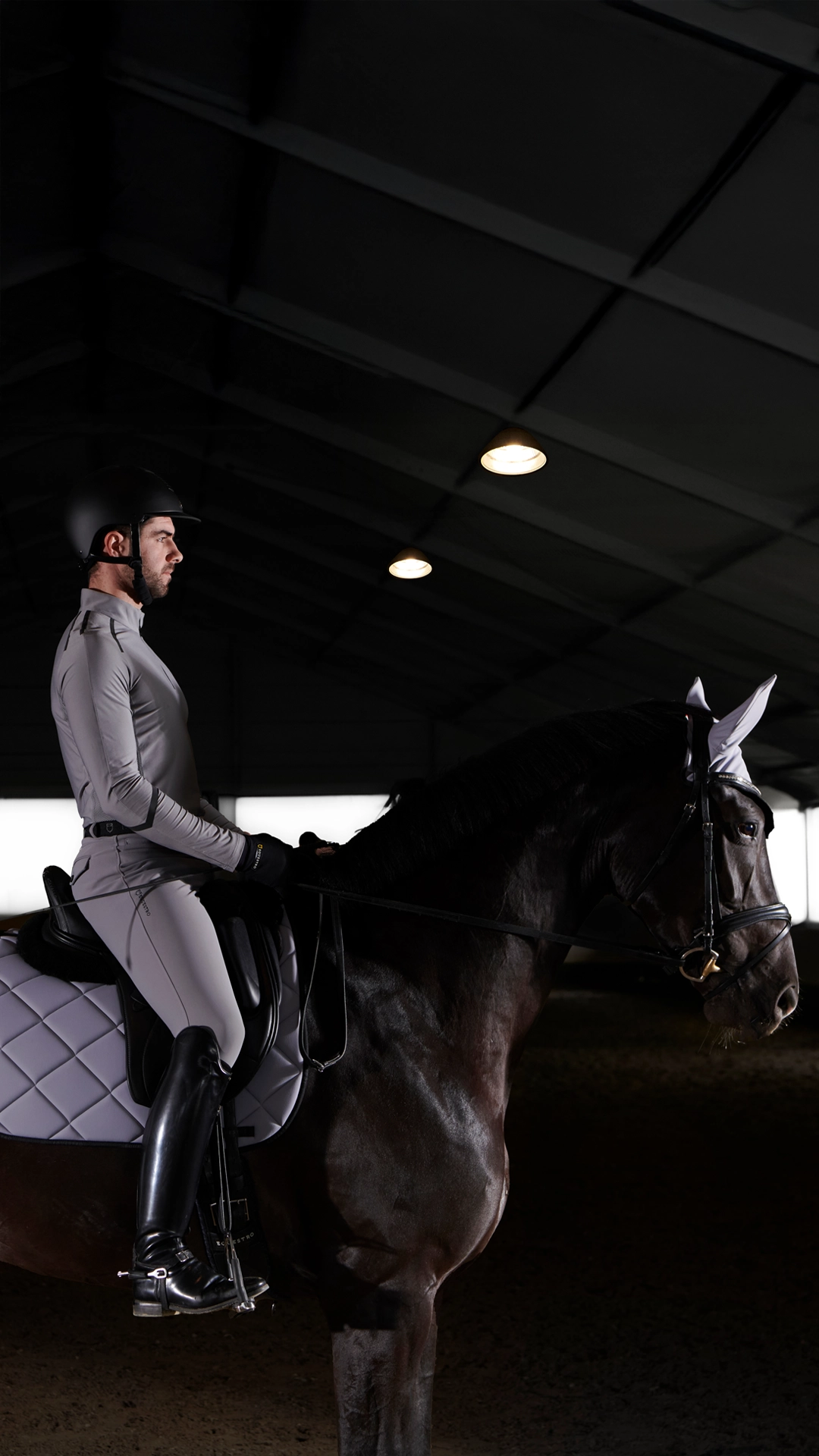 Equestro mission