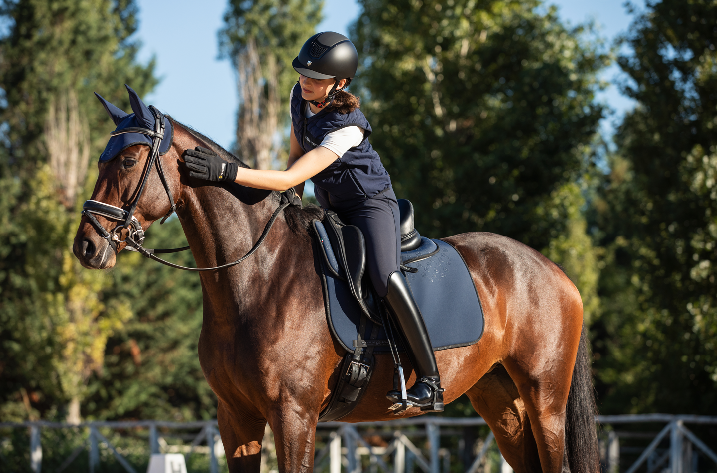 Franceschini mission