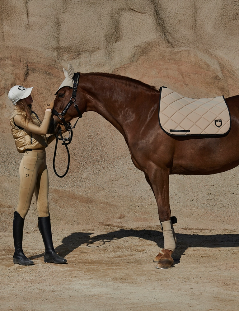 Equestro