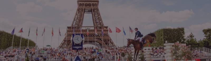 Amahorse in the shadow of the Eiffel Tower
