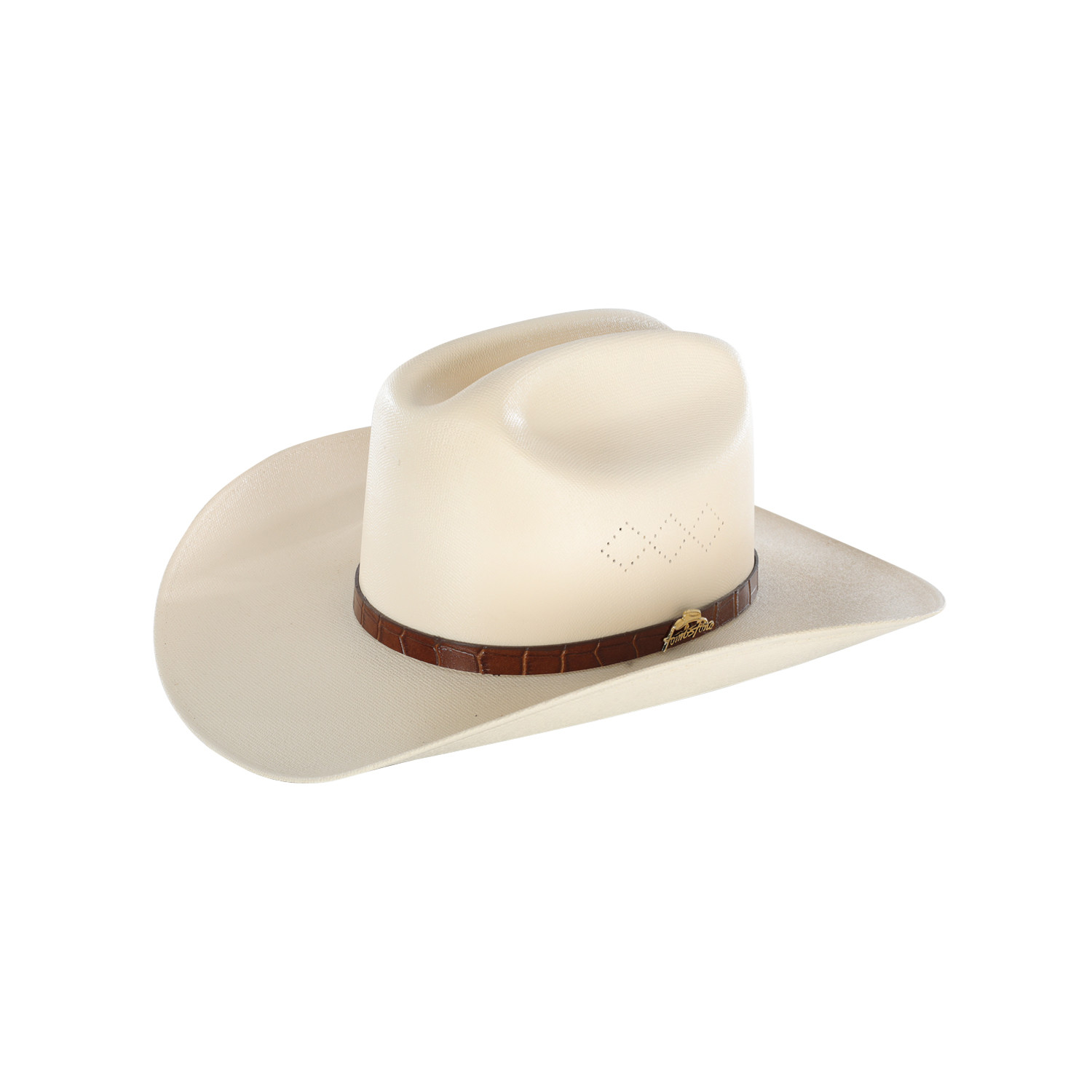 Stiff Waxed Hat Luxury Plum Model