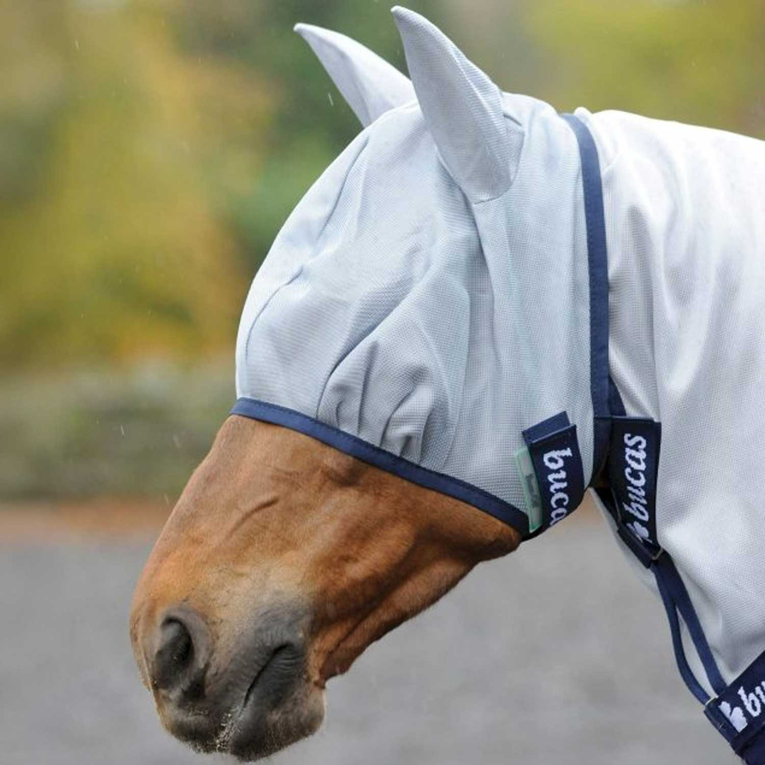 Buzz-Off Fly Mask