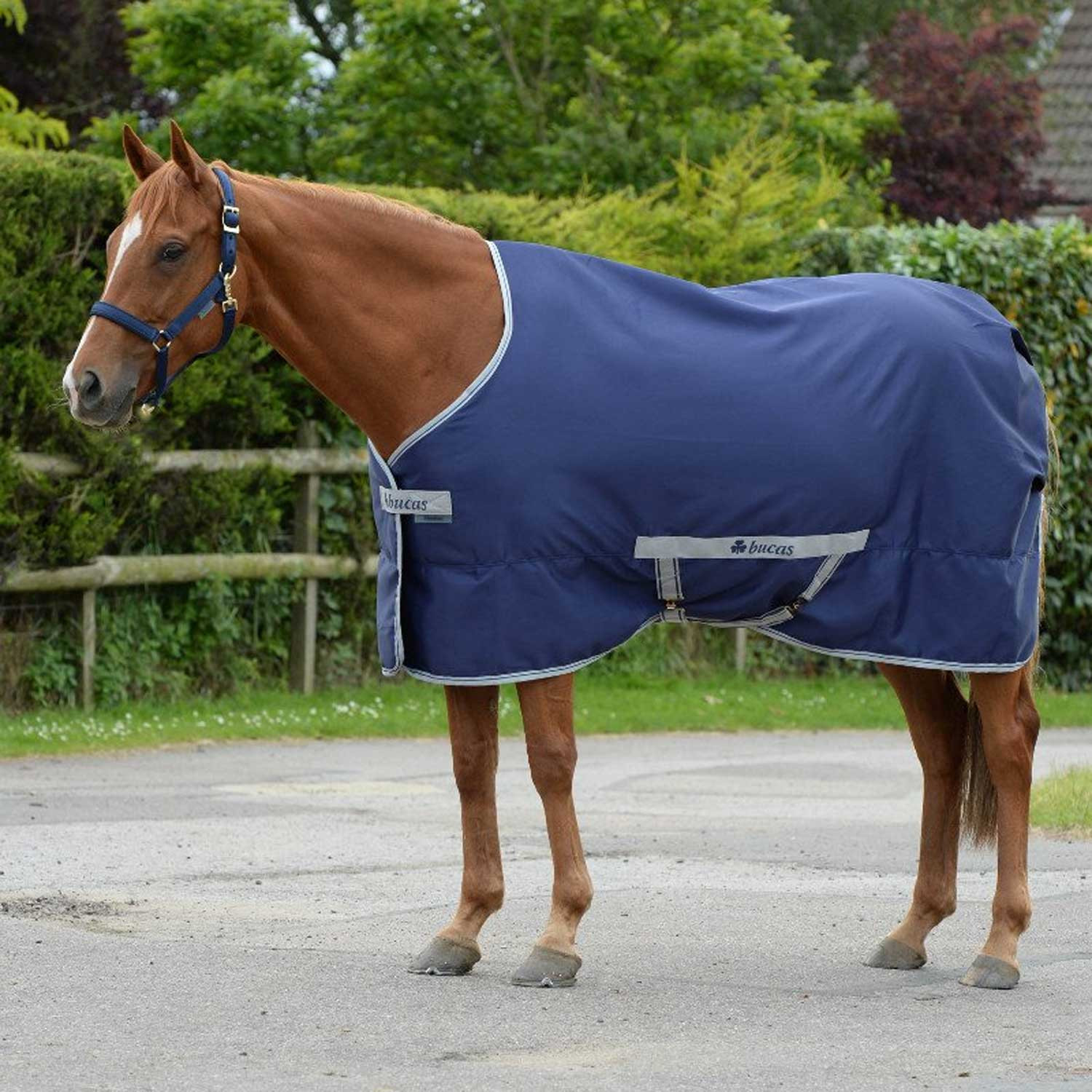Bucas Canvas Rug Freedom Twill