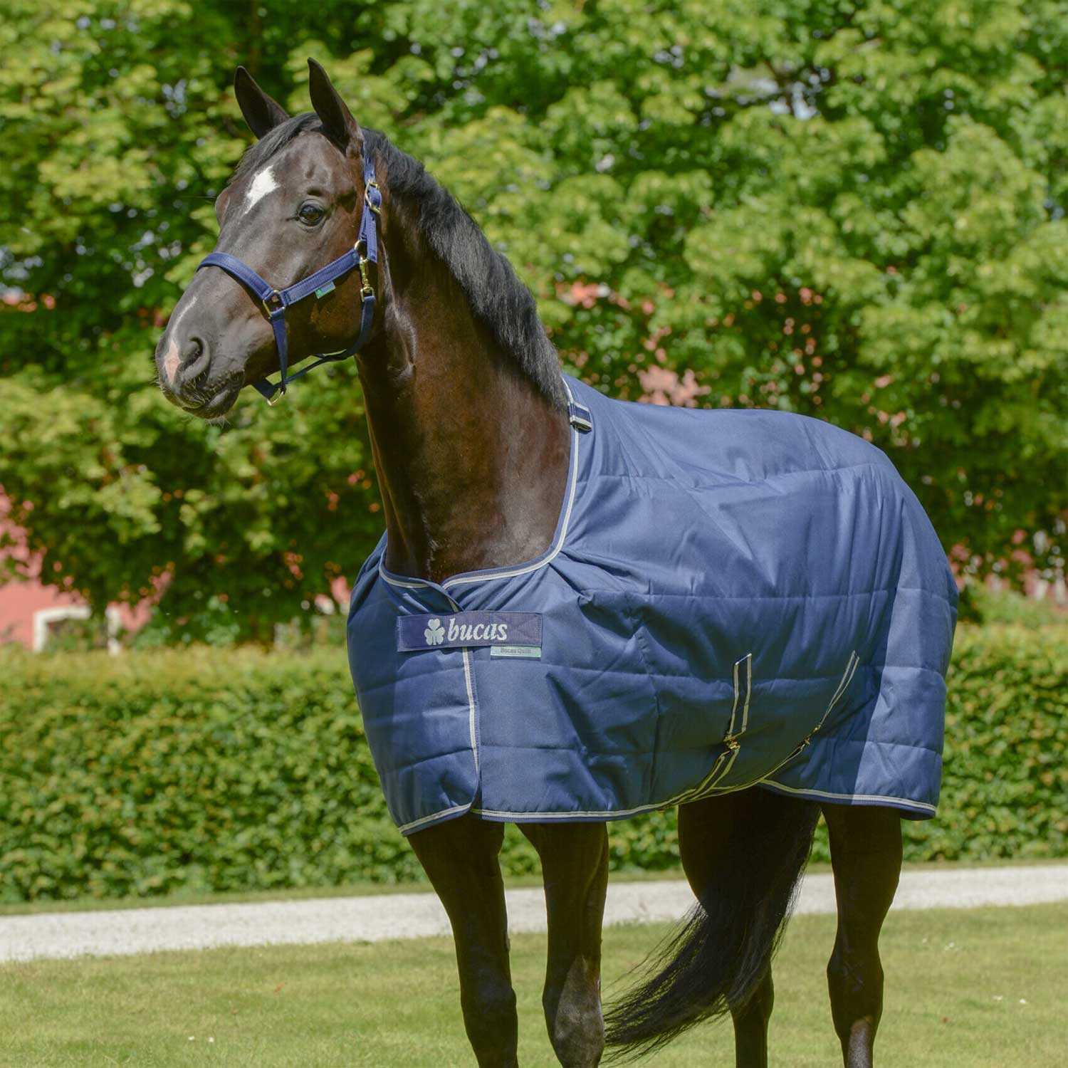 Stájová deka Bucas Quilt 300 Stay-Dry