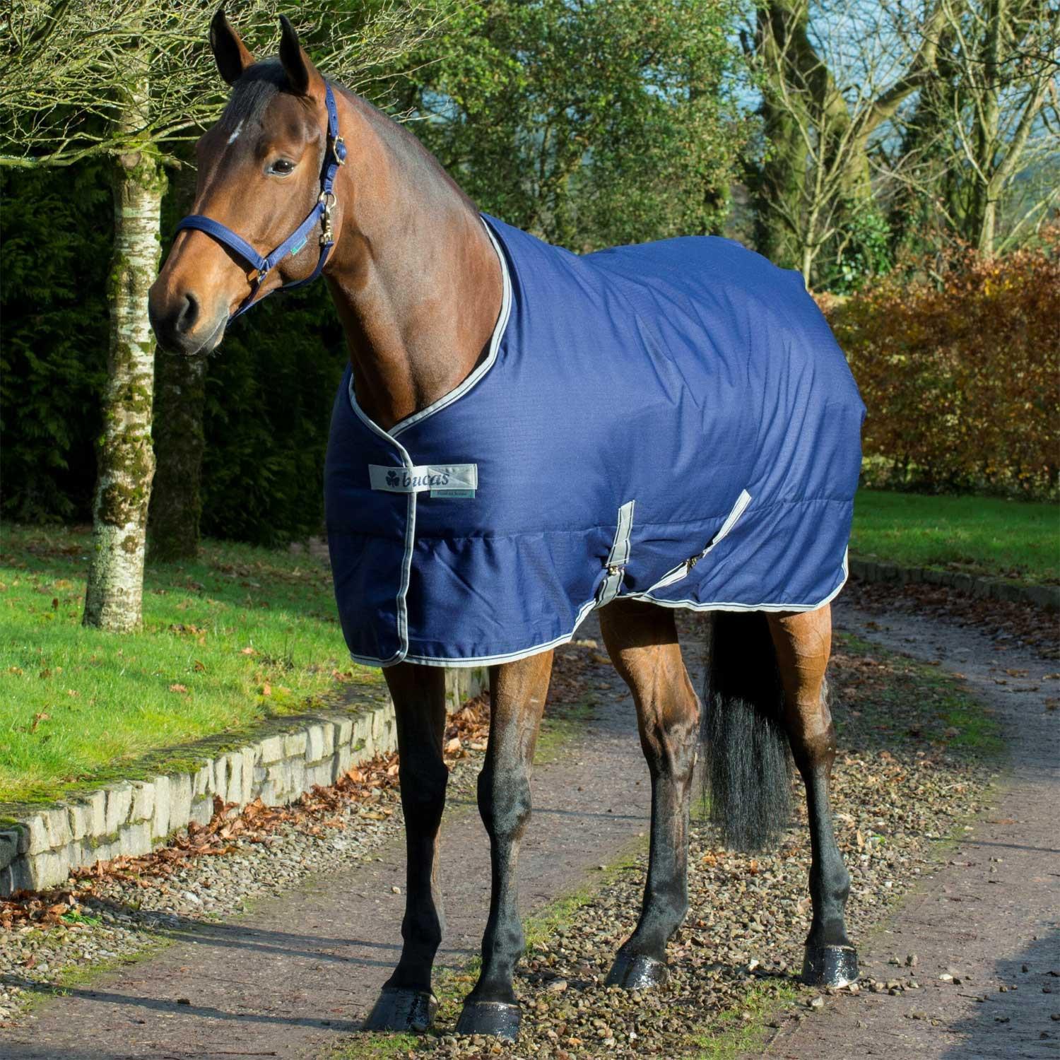 Freedom Stable 300 Blanket