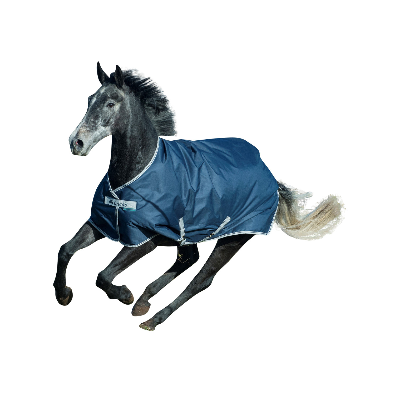 Bucas Freedom Turnout 150 Navy\Silver