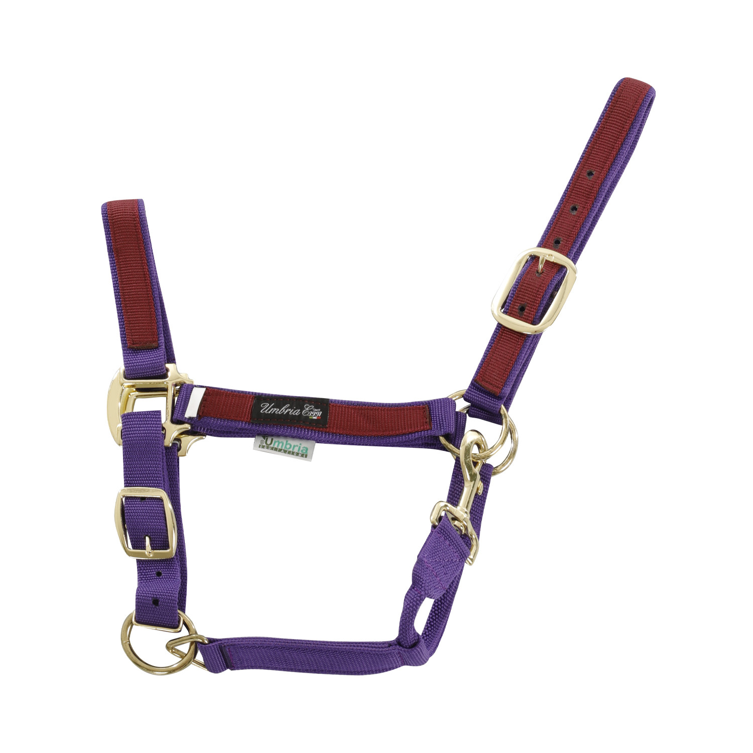 Nylon Halter With Colored Insert