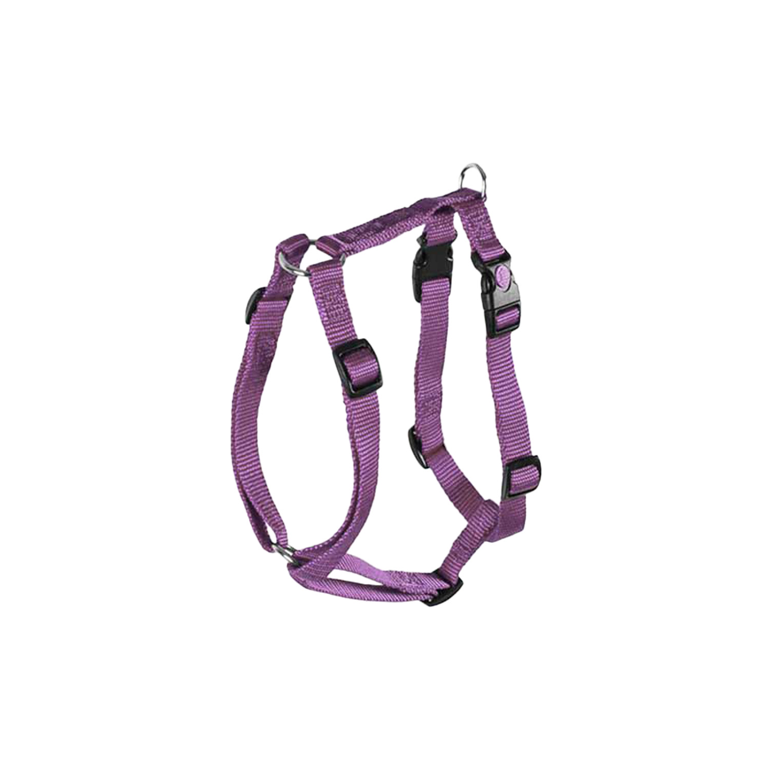 Pluto Model Harness