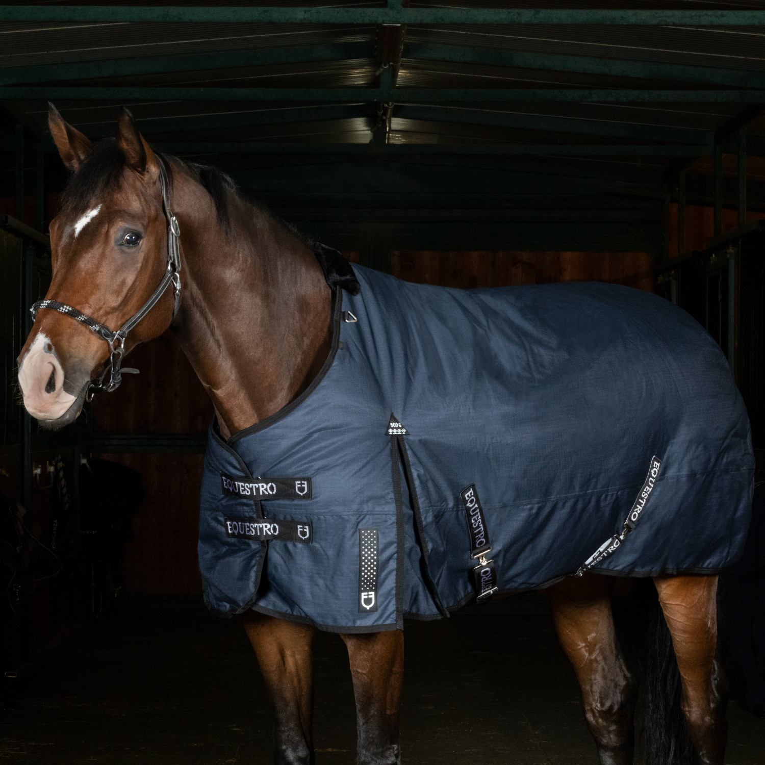 Výběhová deka Equestro Alberta Rip-Stop 500 g
