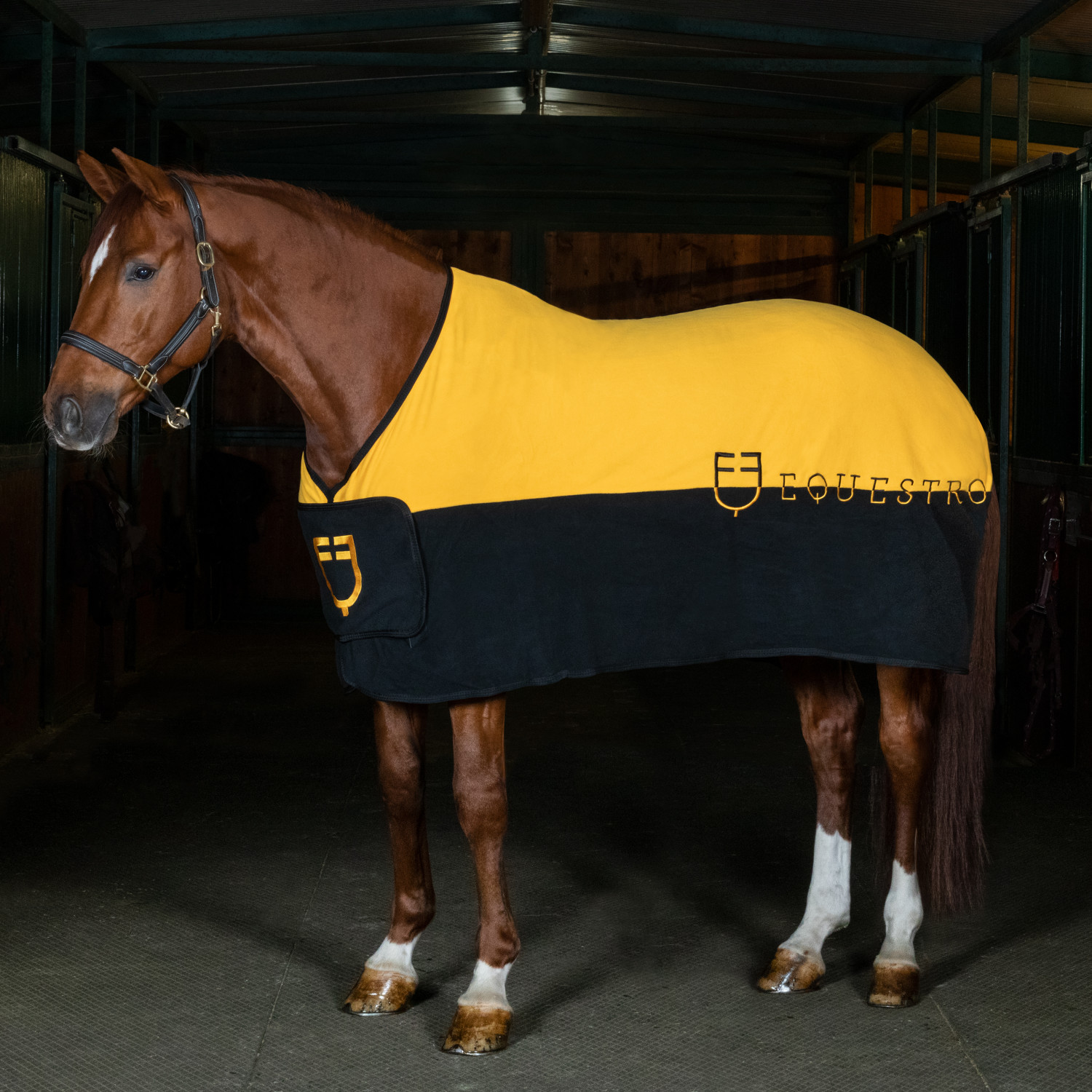 Dvoubarevná fleecová odpocovací deka Equestro
