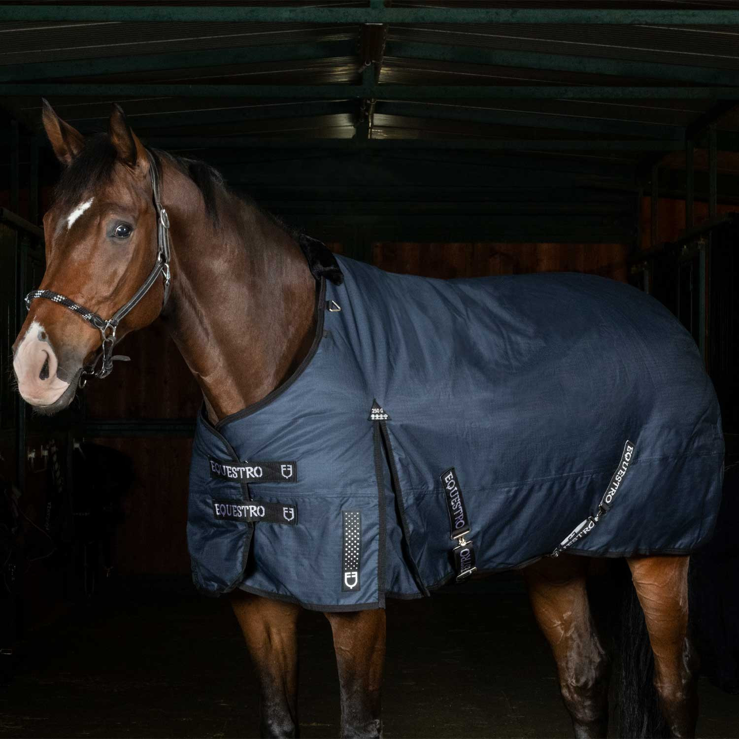 Výběhová deka Equestro Nevada Rip-Stop 250 g