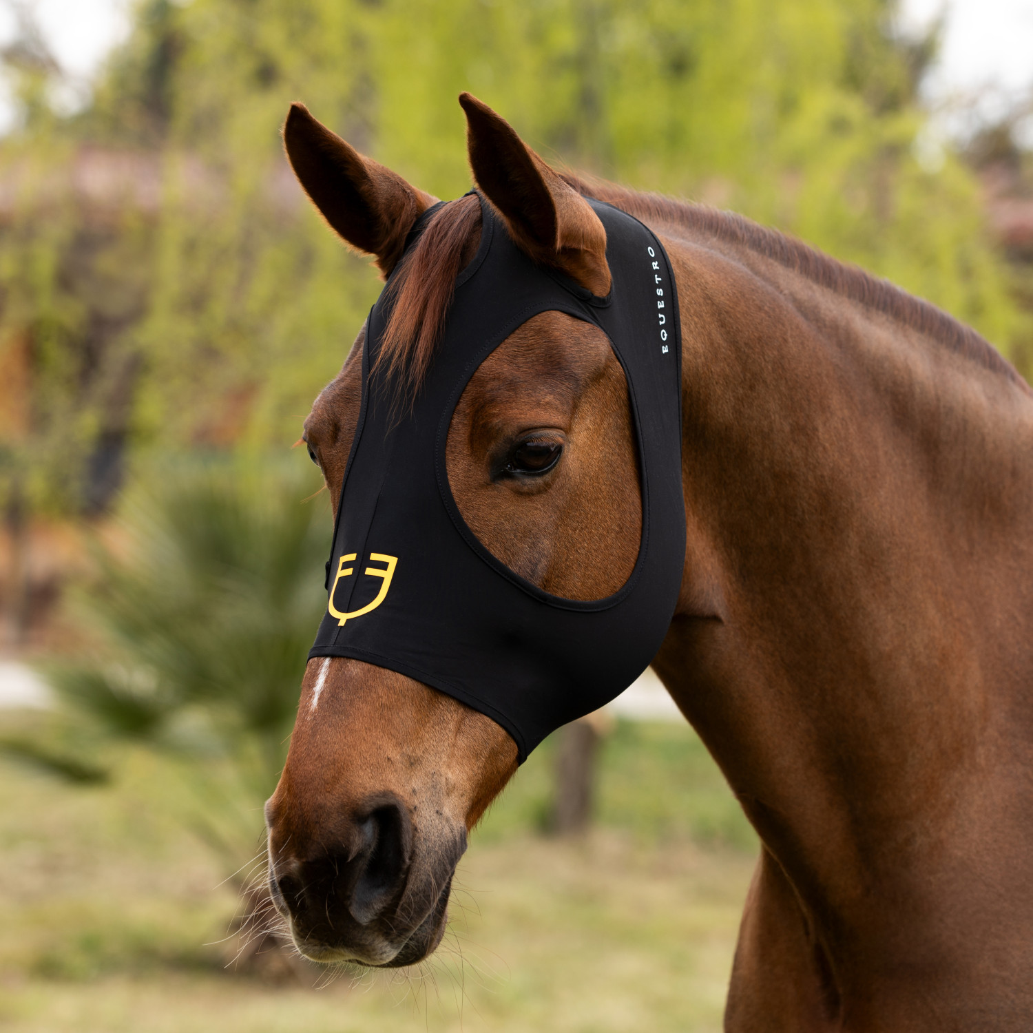 Elastická maska Equestro proti hmyzu bez uší a ochrany očí
