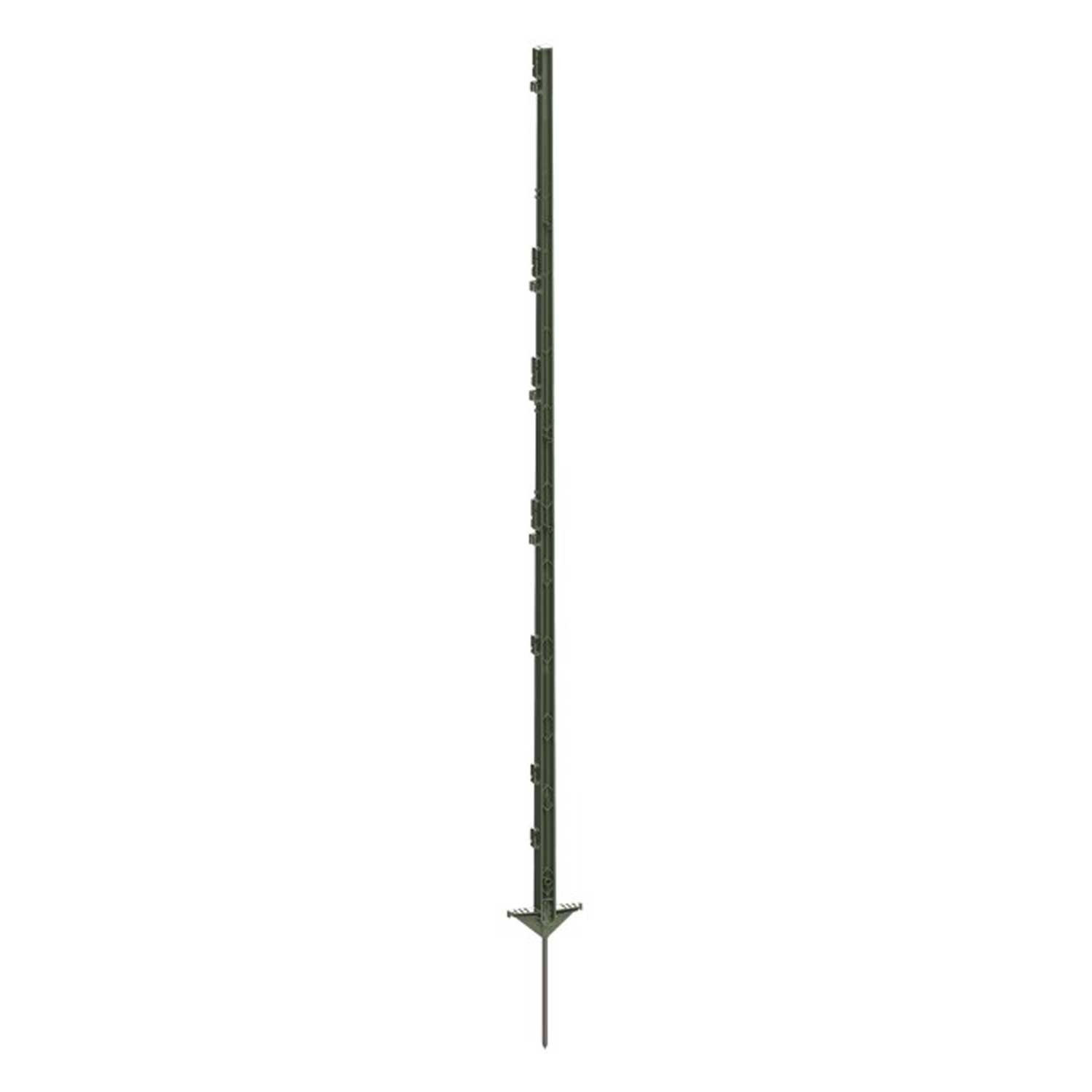 156cm Stakes Double Support Green