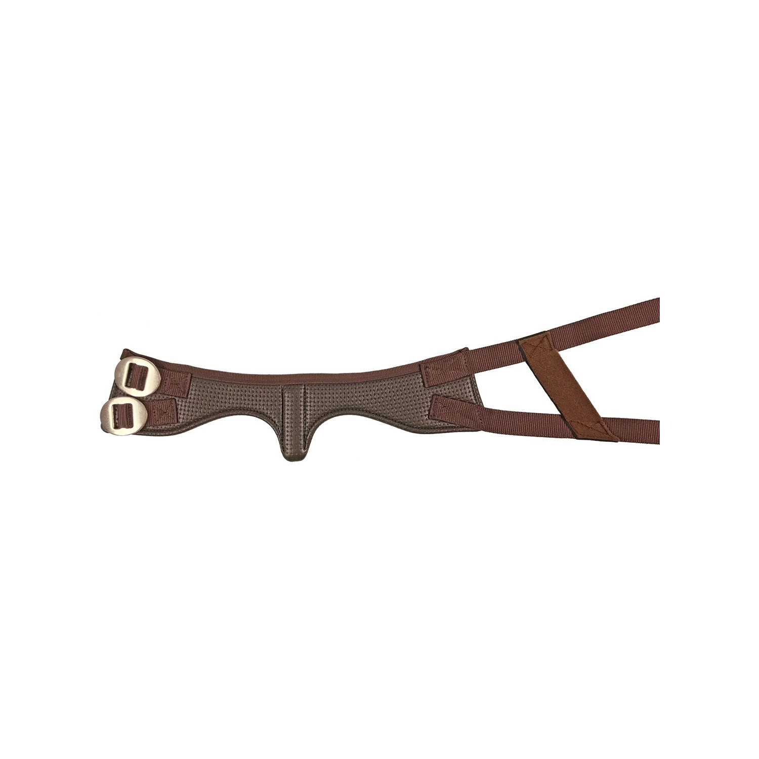 Tic Collar Nylon And Neoprene Usa Model