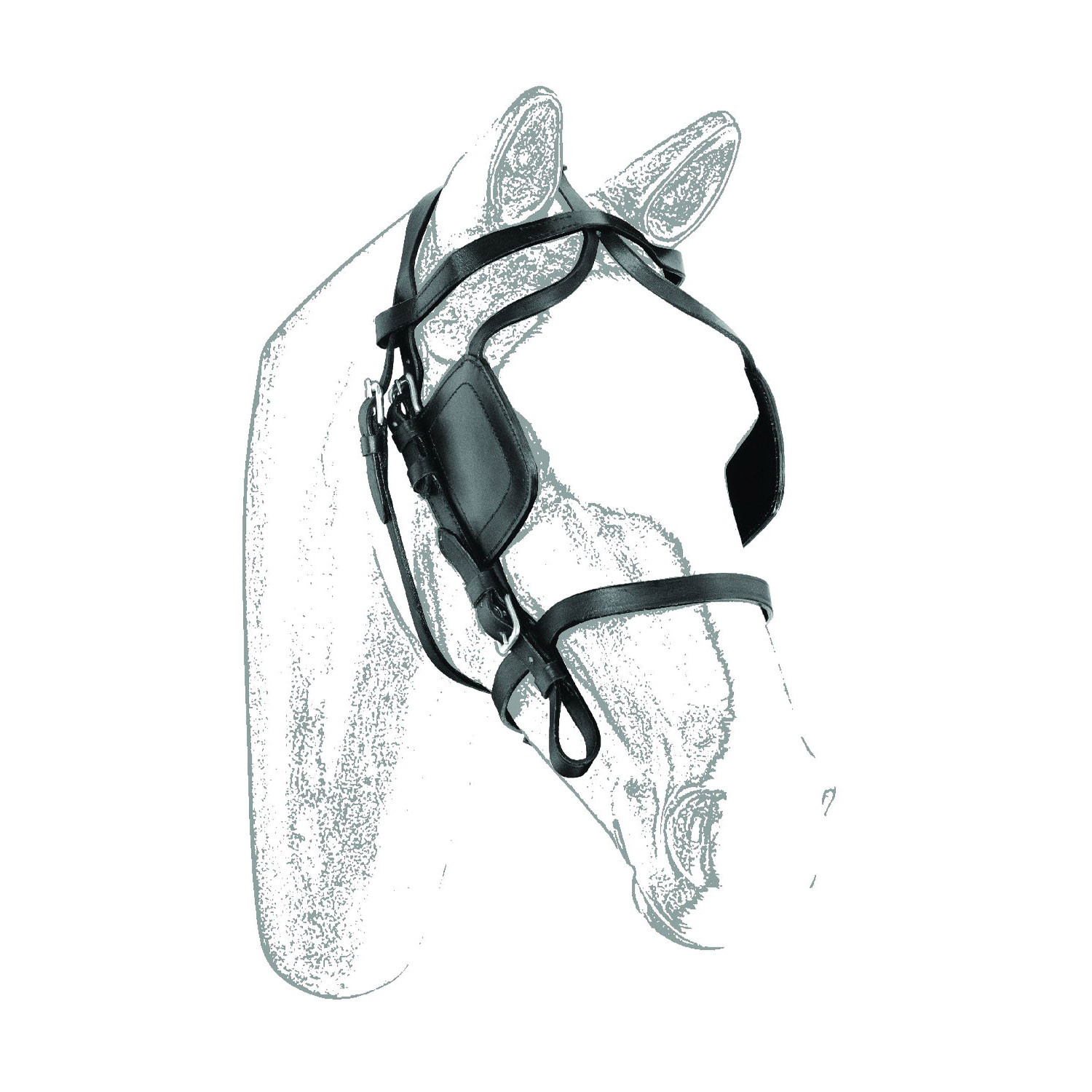 Bridle For Harness
