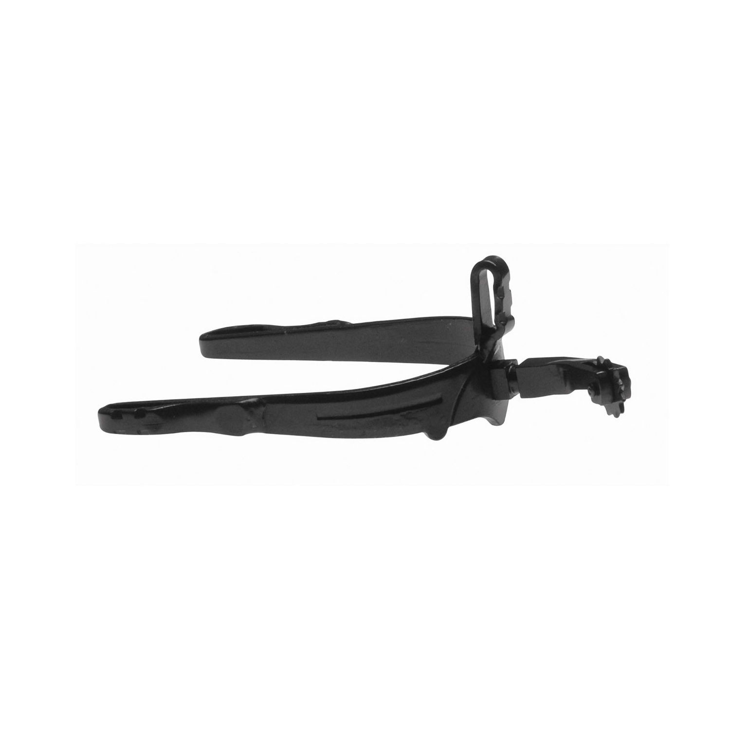 Spanish Spurs With Rowel And Curved Neck
