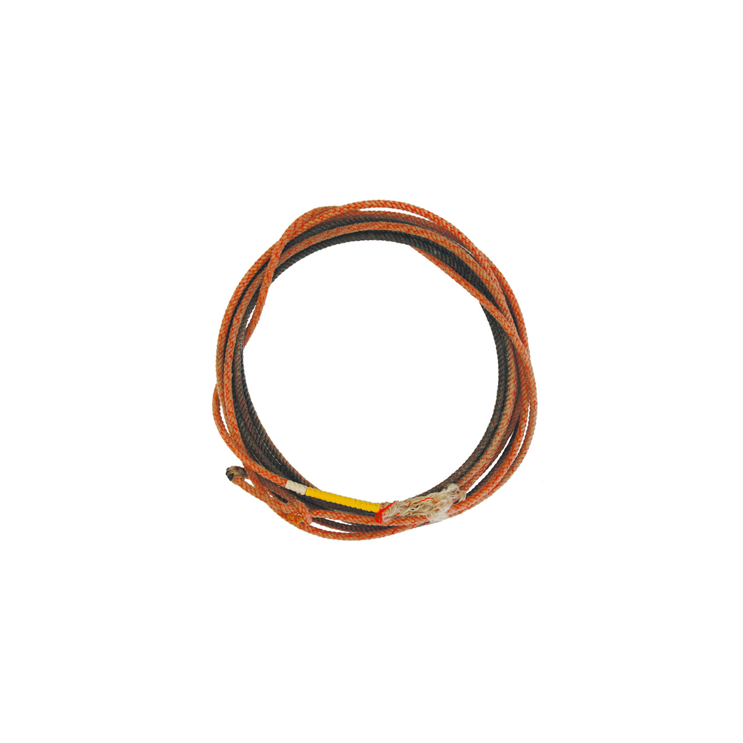 Used Professional Lasso