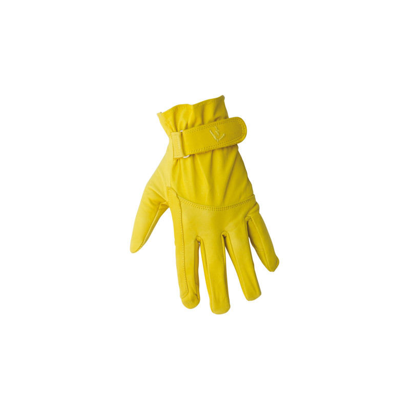 Riding Gloves 174 Model