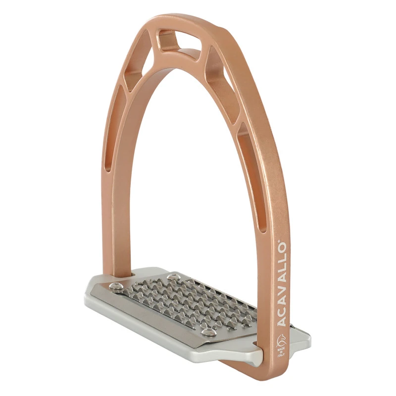 Soporte arco evolution alupro