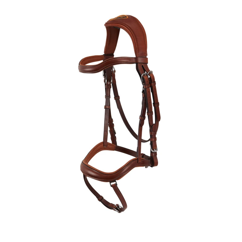 Allegoria anatomic bridle