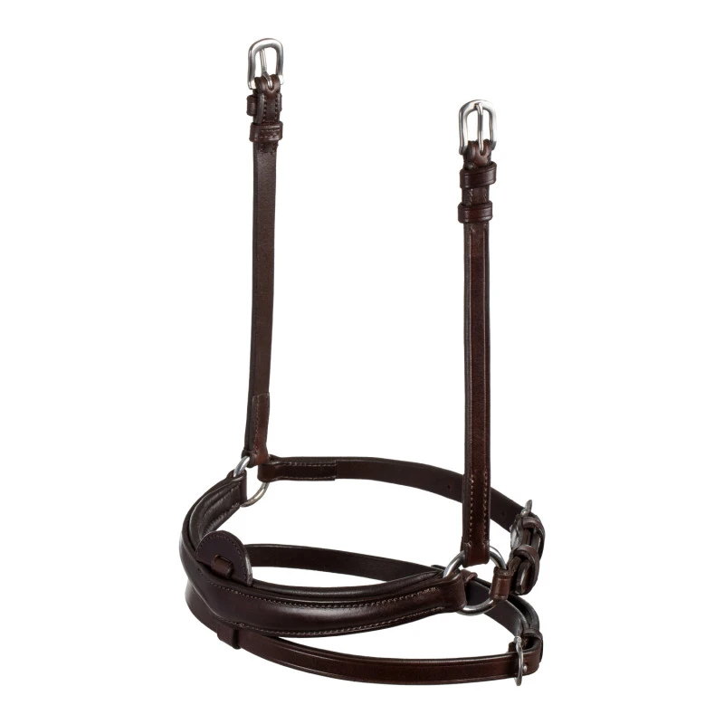 Flash noseband quick coupling