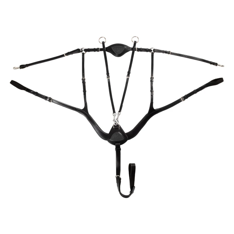 Anatomical 5-point breastplate