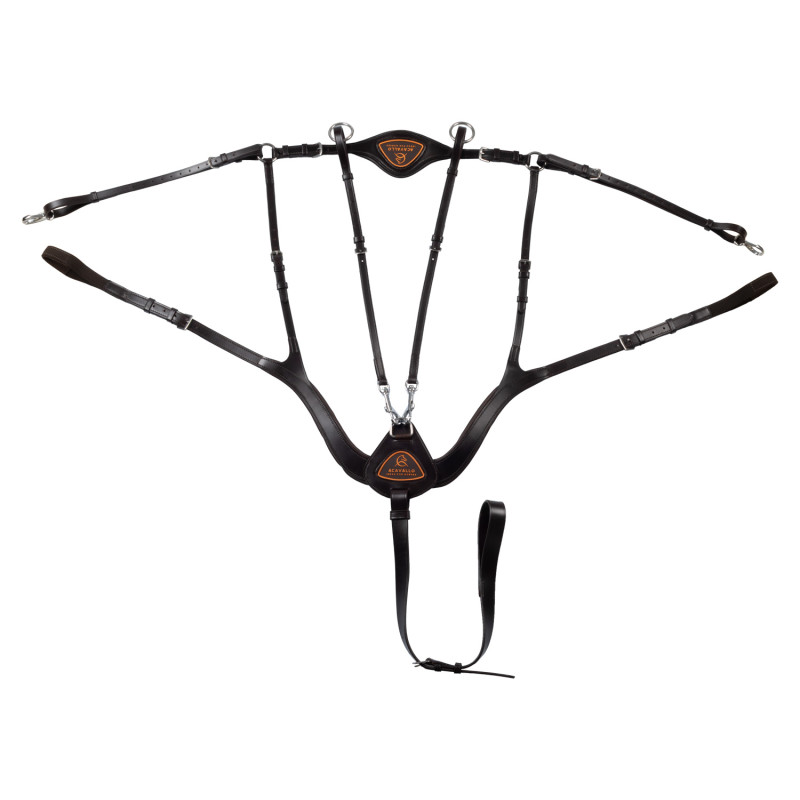 Anatomical 5-point breastplate