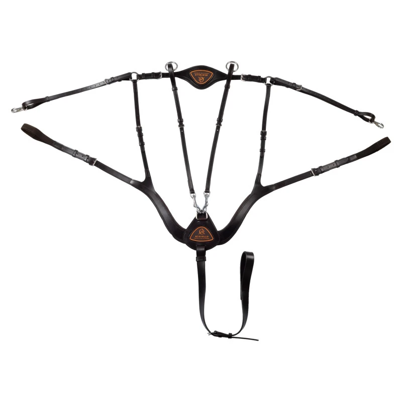 Anatomical 5-point breastplate