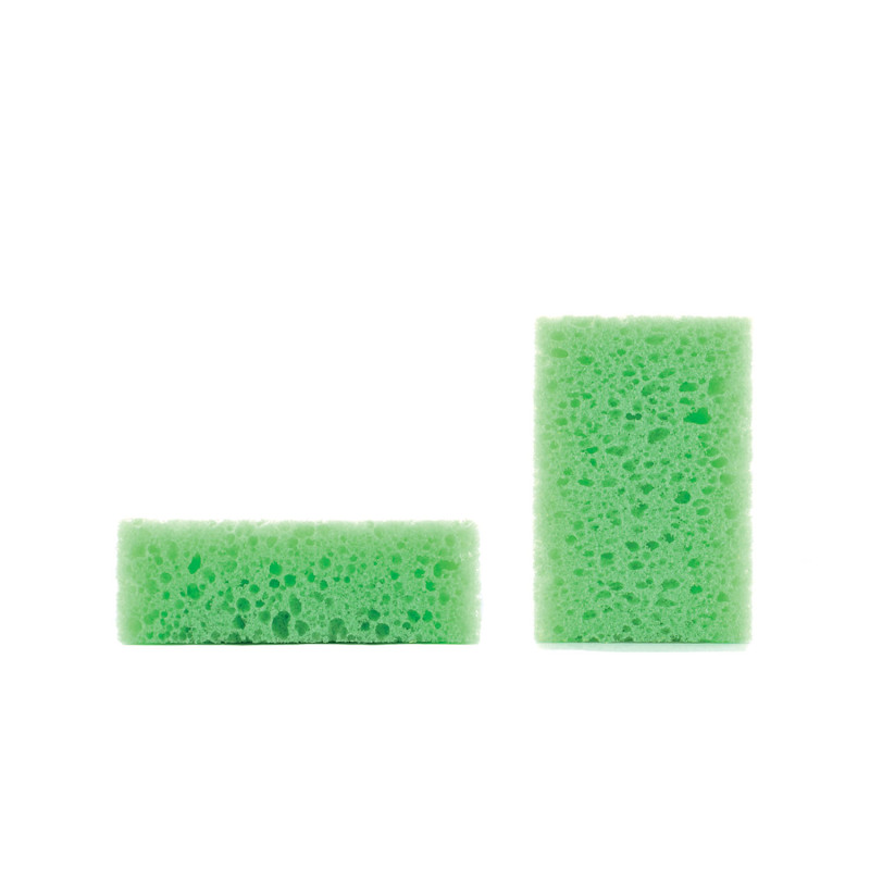 Sponge Small Size