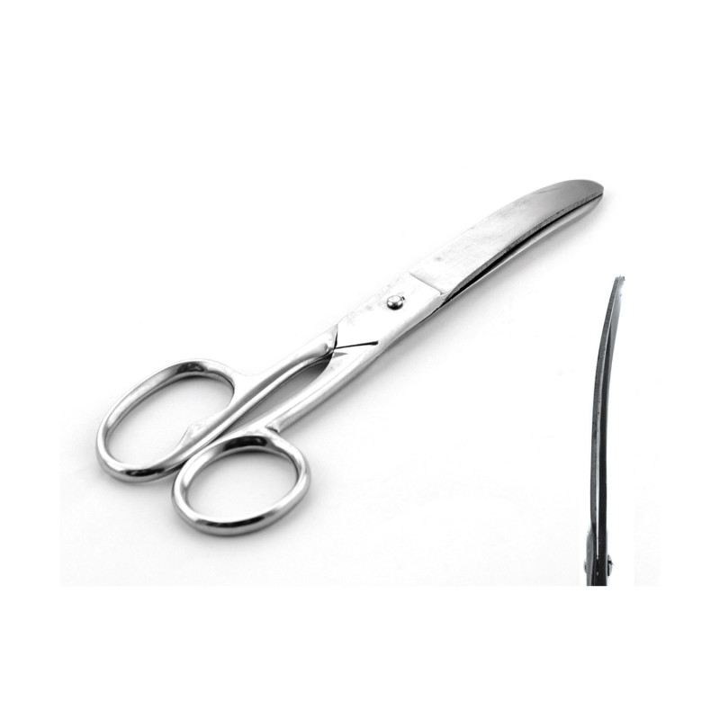 Scrissor With Courved Blade