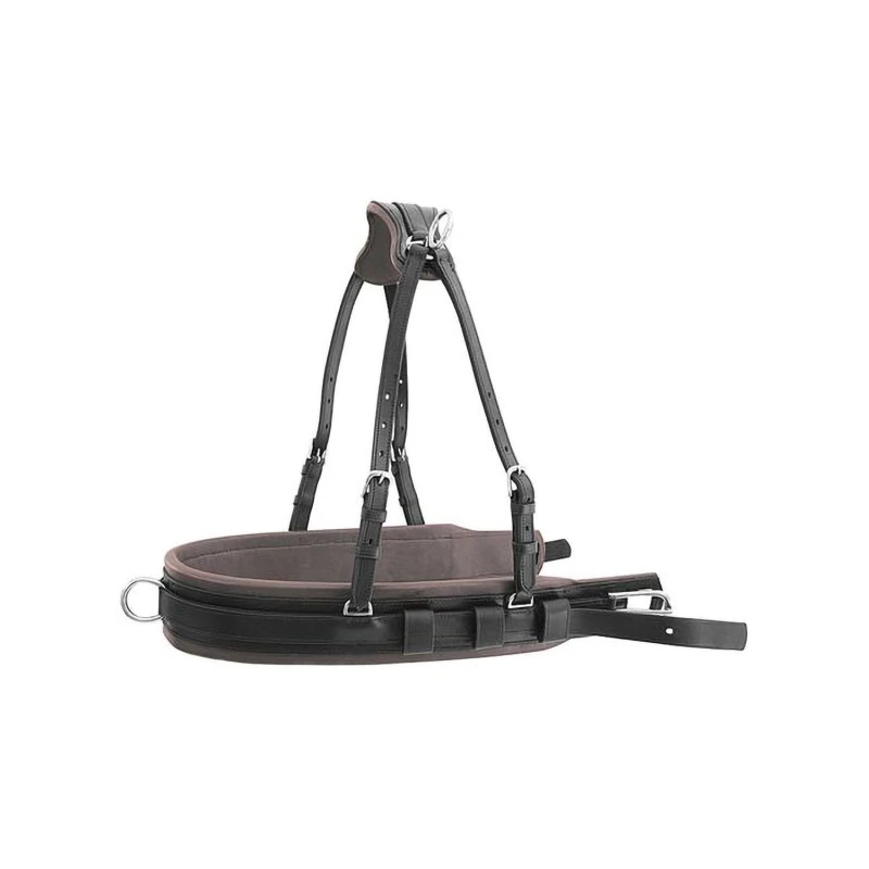 LUXURY HARNESS FOR CARRIAGE