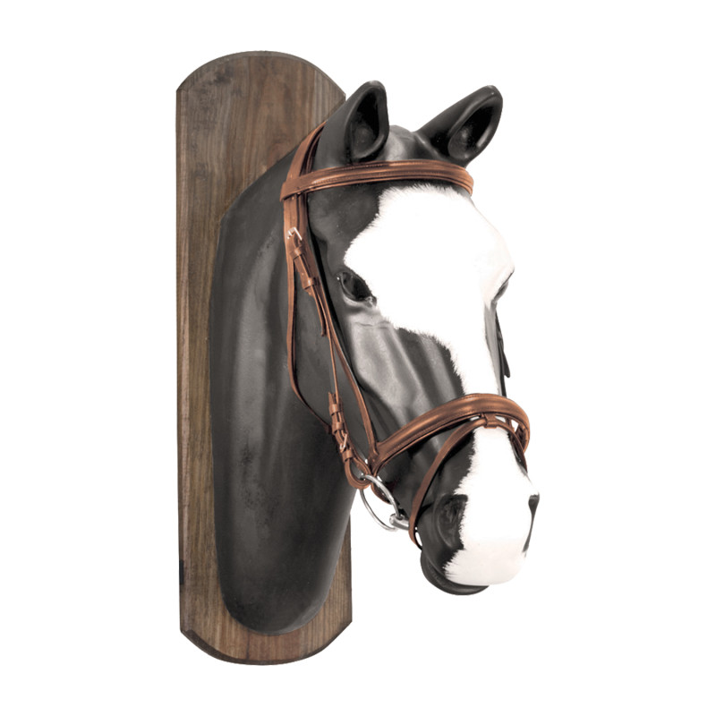 Derby Bridle With Cotton Reins