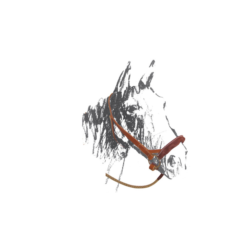 HANDCRAFTED MAREMMANA HALTER