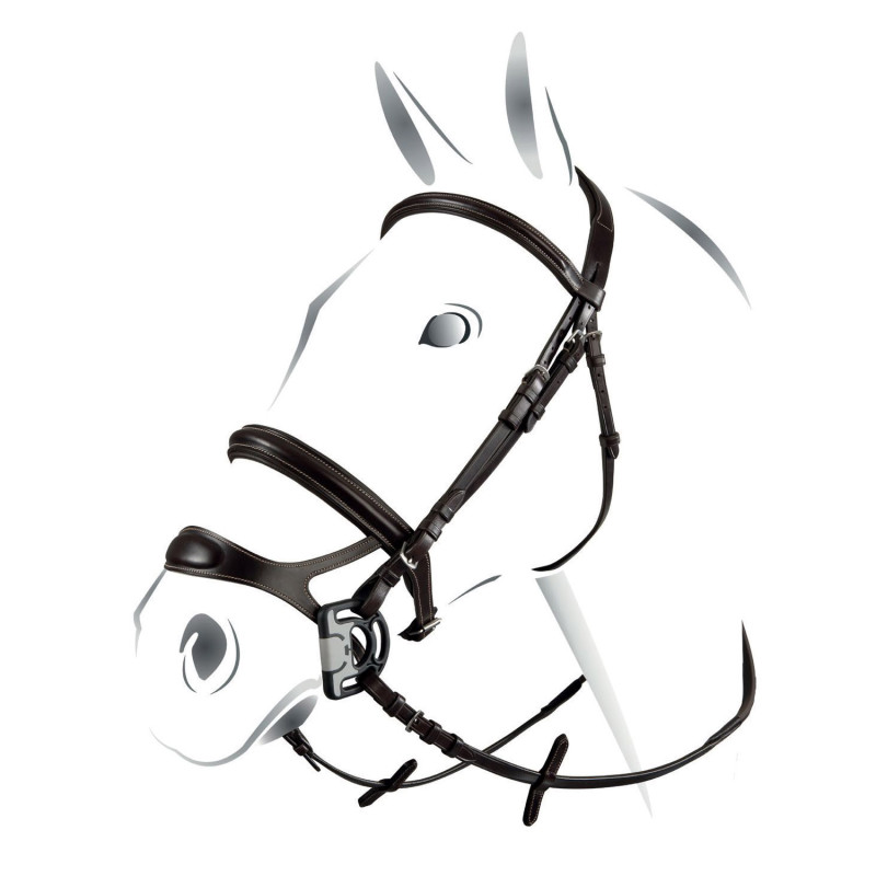 Cabezada Equestro modelo Combined