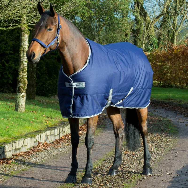 Freiheitstall 300