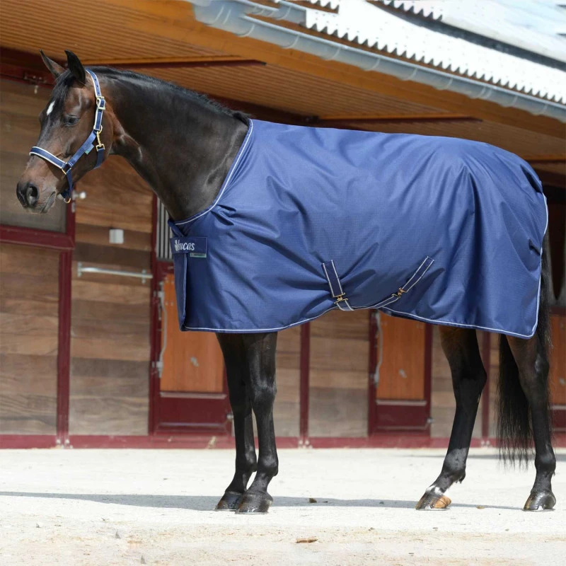 Irischer Stall Extra