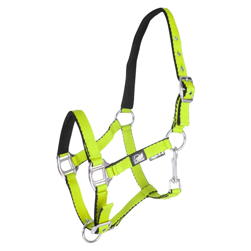 SOFT TOUCH PADDED FOAL HALTER WITH DOUBLE REGULATION