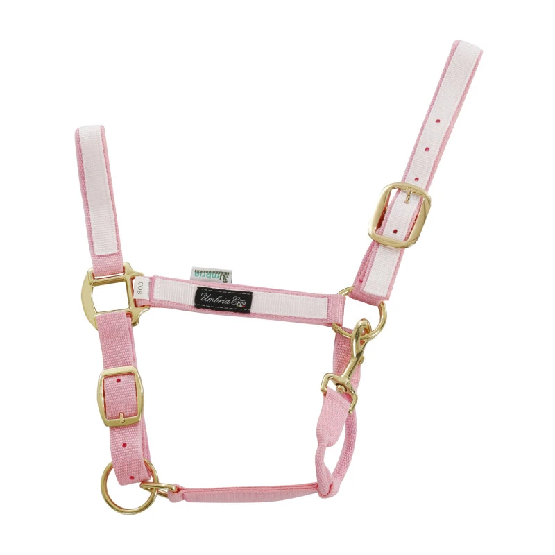 NYLON HALTER WITH COLORED PARTS