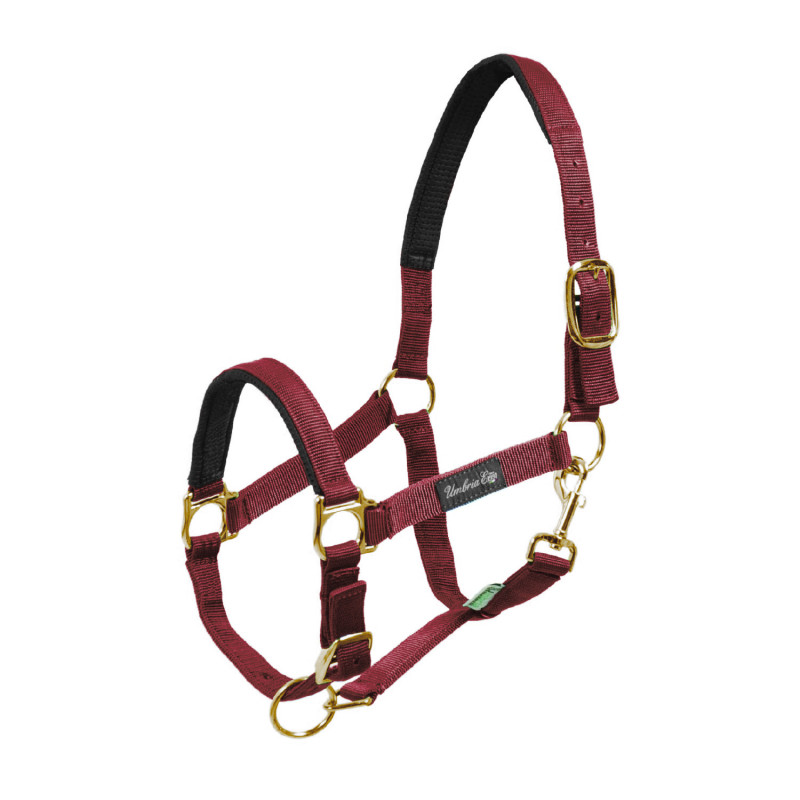 Nylon Halter With Neoprene Reinforcement