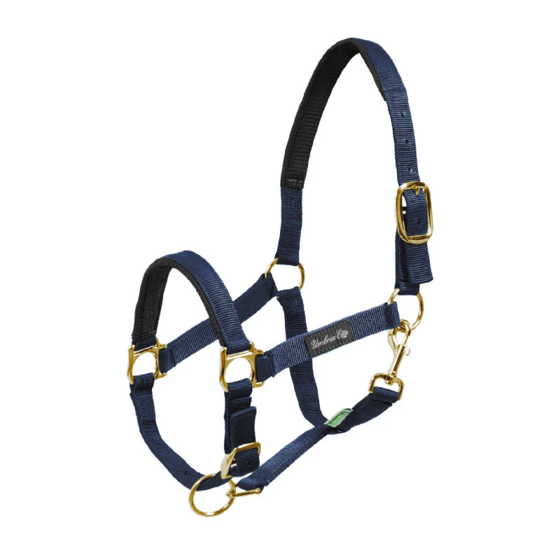 NYLON HALTER WITH NEOPRENE REINFORCEMENT