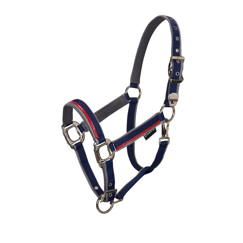 Double adjustment halter
