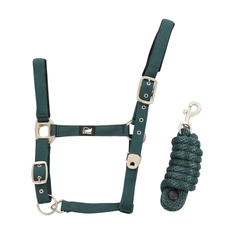 NYLON HALTER WITH LEATHER REINFORCEMENT. COMPLETE WITH LEAD