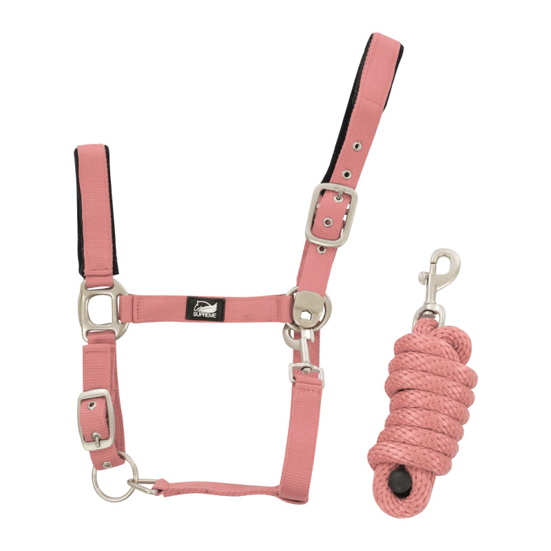 Nylon Halter With Leather Reinforcement. Complete With Lead
