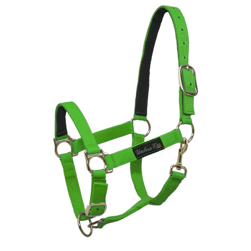 NYLON HALTER WITH LEATHER REINFORCEMENT