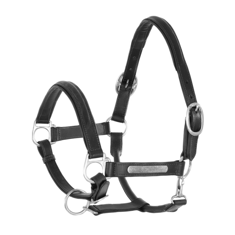 Leather Halter With Brass Nameplates