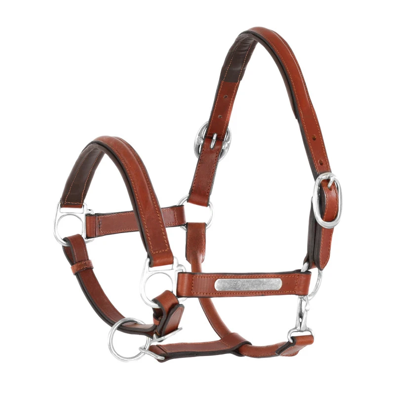 LEATHER HALTER WITH BRASS NAMEPLATES