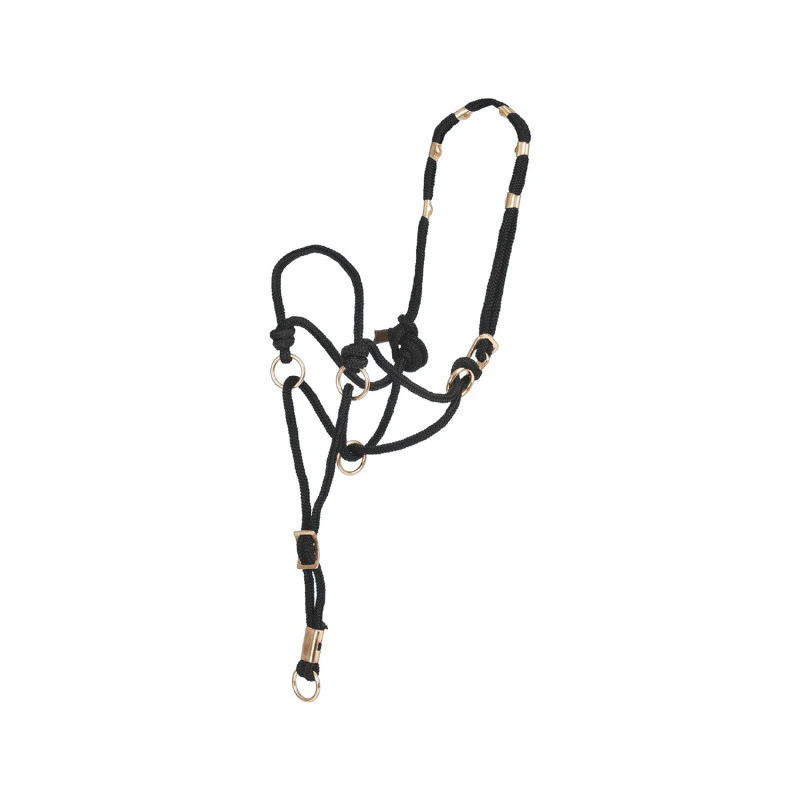 POOL'S DIRECTION HALTER