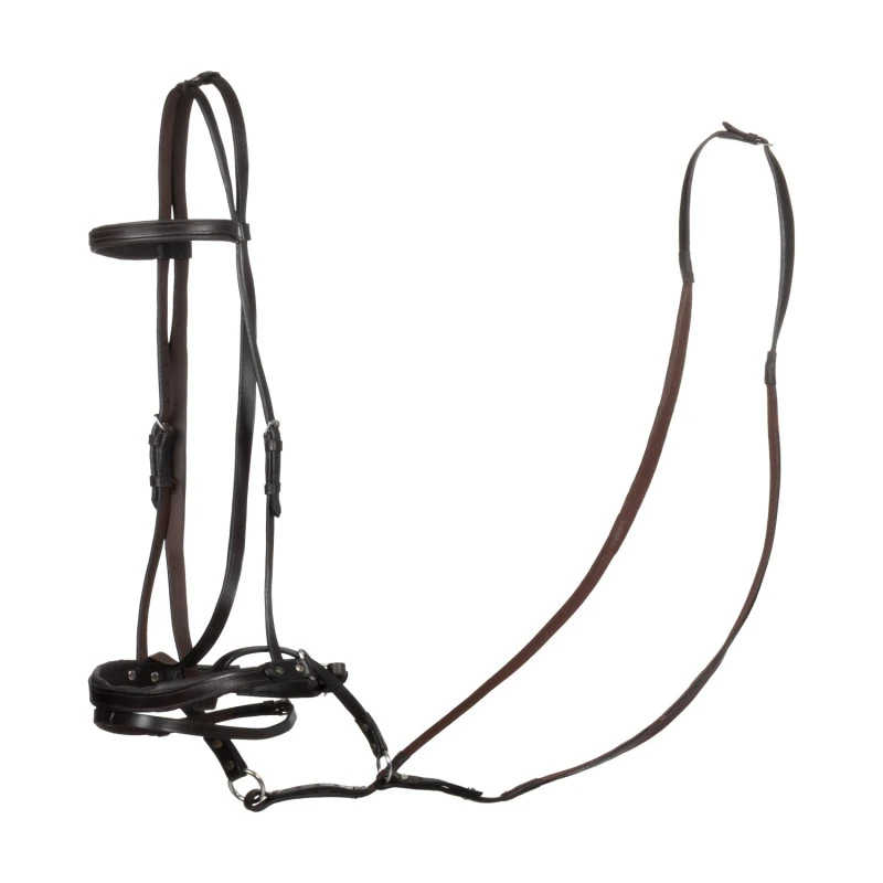 HORSE BALL LEATHER BRIDLE